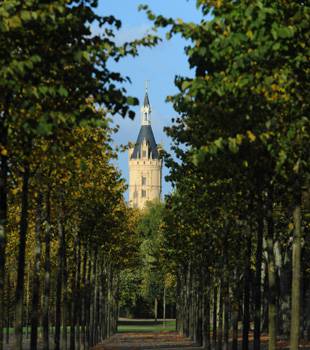 Single schwerin