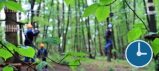 kletterwald_aktiv_15uhr_280x126.jpg_2039007492