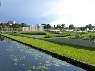 Schwimmende Wiese